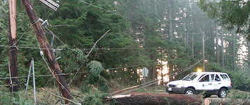 A car stopped in the road blocked by downed trees and power lines