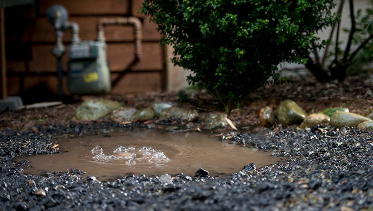 bubbles in puddles