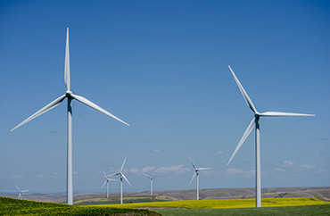 Hopkins Ridge Vestas Wind Turbines
