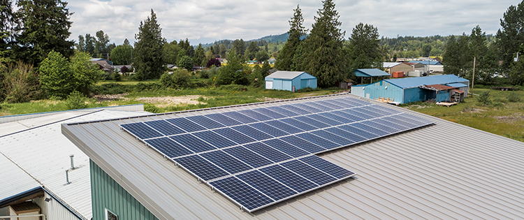 Rooftop solar panel array