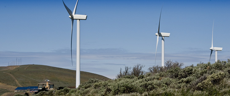 A row of three wind turbines receding in the distance from left to right, surrounded by rolling sage brush hills against a blue sky