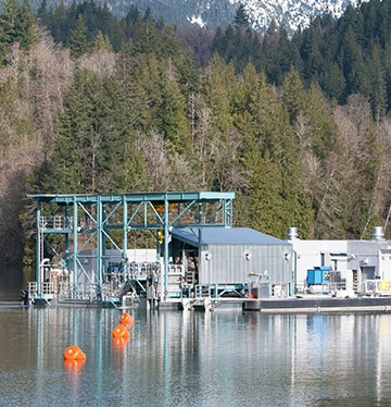 Floating Surface Collector