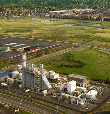 Mint Farm Generating Station