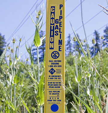 Pipeline markers