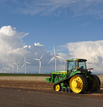 लोअर स्नेक
