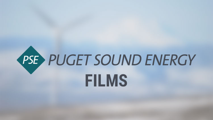 Películas energéticas de Puget Sound