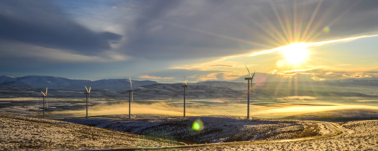 Windfarm in snow covered field