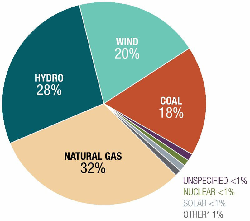 Pie chart of PSE fuel mix for electricity delivered to customers in 2024