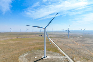 Lake tradition pole work