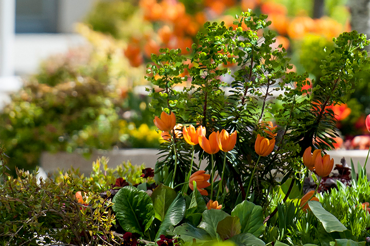 Earth Week coloring contest