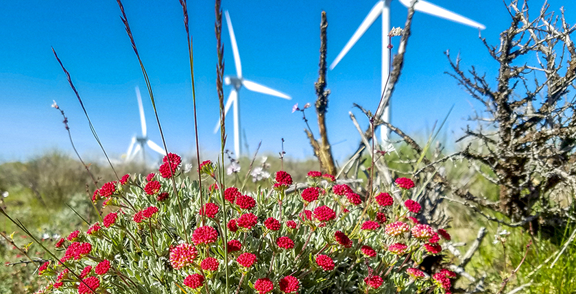 Learn about Your Energy Future