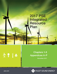 IRP Cover 2017 IRP Cover 2017