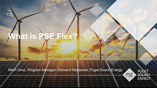 Ask An Expert: PSE Flex Virtual Event 