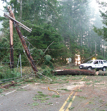 Downed power line