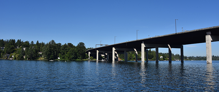Aerial view of evergreen trees and rooftops facing a deep blue expanse of Lake Washington meeting evergreen Mercer Island covering the horizon.