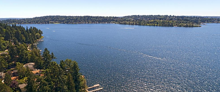 Aerial view of evergreen trees and rooftops facing a deep blue expanse of Lake Washington meeting evergreen Mercer Island covering the horizon.