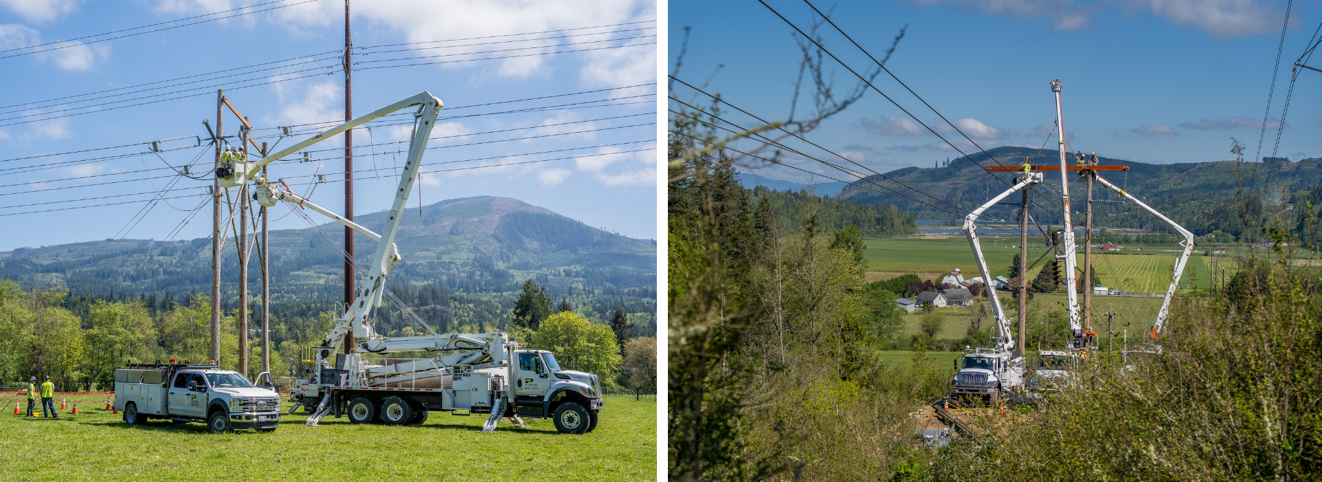 Skagit reliability