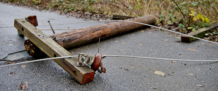 Fallen electrical power line with cables on the ground, creating a safety hazard