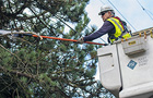 Wildfire prevention