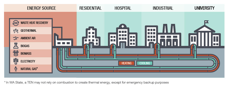 Thermal Energy Networks Explainer Diagram