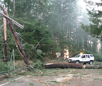 Downed power lines