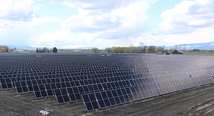 Solar panels in the sun