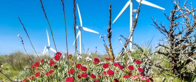 Learn about Your Energy Future