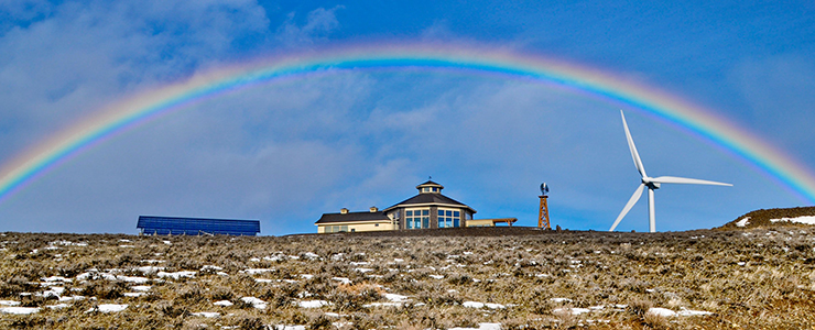 Tile_WildHorse_Rainbow