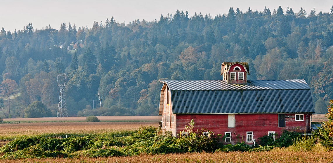 Qualco Dairy Farm in Monroe, Wash.