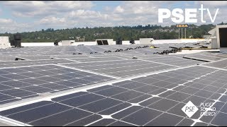 Distributed Renewables - IKEA Renton
