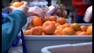 Northwest Harvest excited to do more good with solar power