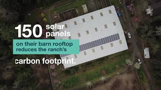 On Bainbridge Island, Solar is Helping Run the Ranch