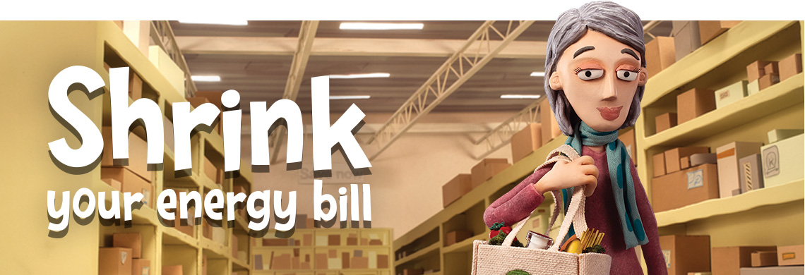 Shrink your energy bill