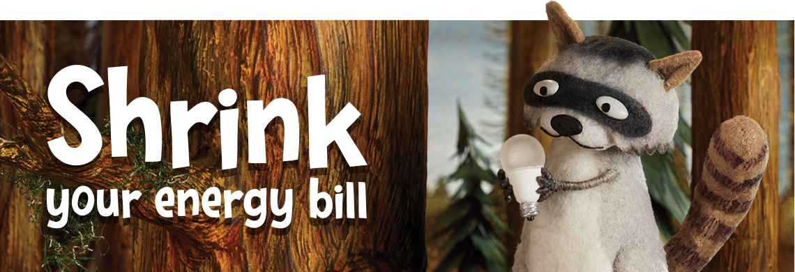 Shrink your energy bill
