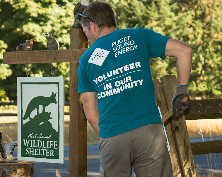 Volunteer rakes ground at West Sound Wildlife Shelter