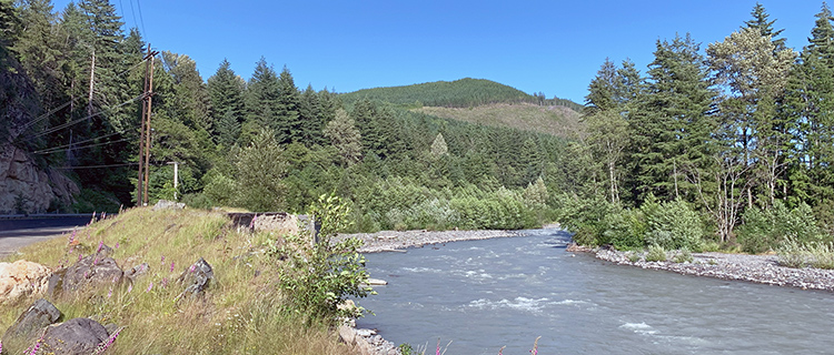 White River and poles along the highway