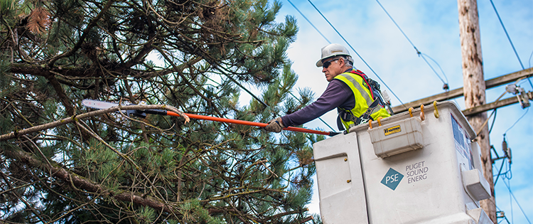 Wildfire Mitigation Response Plan Hero