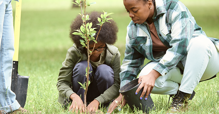 And adult and child planting a tree
