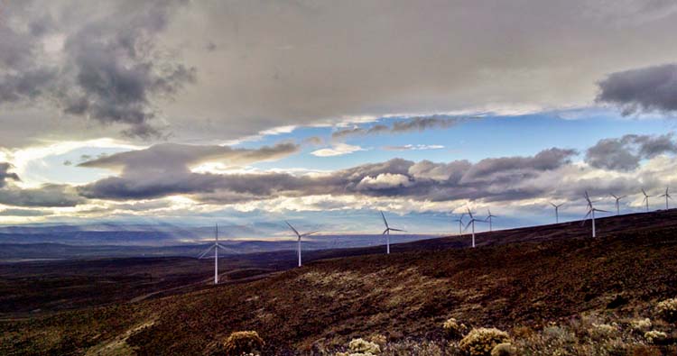 mug stormy rain window leaf fall winterr3