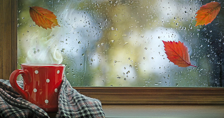 mug stormy rain window leaf fall winterr3