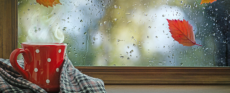 Mug stormy window leaf