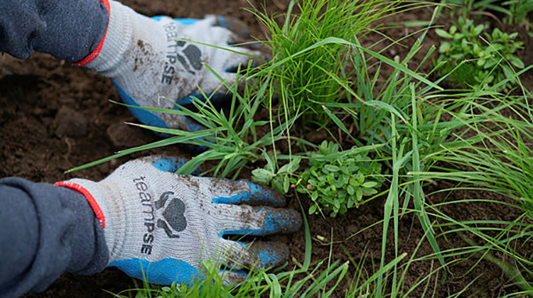 Help in the community