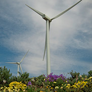 Two wind facilities complete (Wild Horse and Hopkins Ridge) Two wind facilities complete (Wild Horse and Hopkins Ridge)