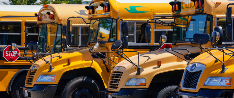 A fleet of yellow school buses