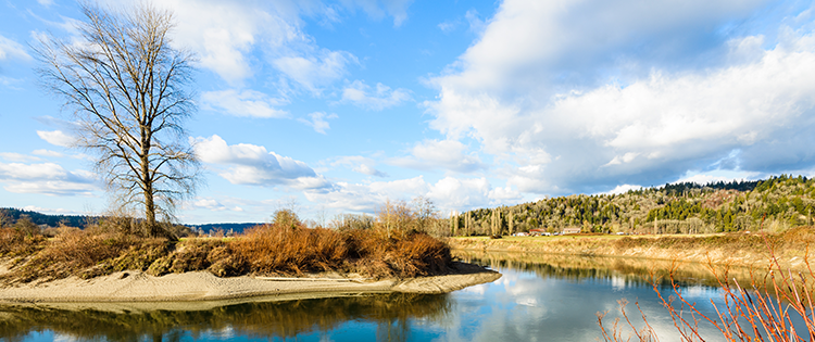 A photo showing a lake and trees landscape