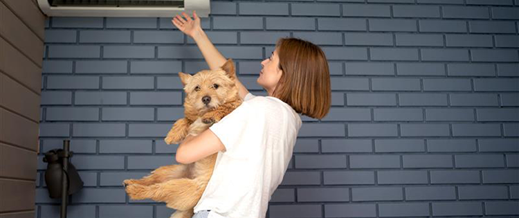 Woman holding dog reaches up to a vent