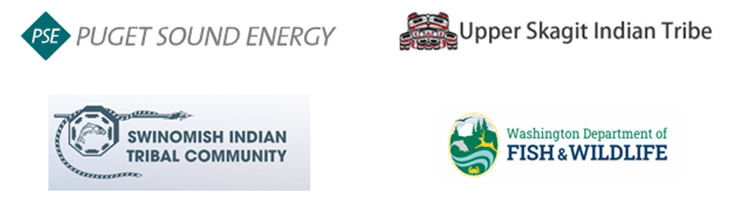 Sockeye Return Logos