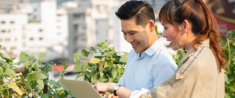 business man city roof owner natural vegetable garden plant grow organic work happy farmer planting harvest. E-commerce community, architecture and landscape.