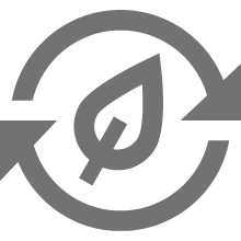 Arrow Leaf