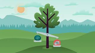 Renewable Energy Carbon Balance video image